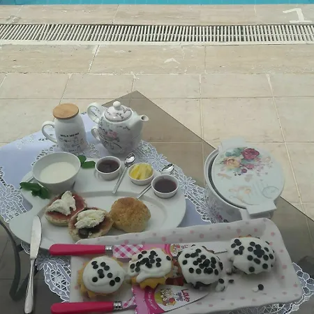 Tjs Fethiye Oludeniz