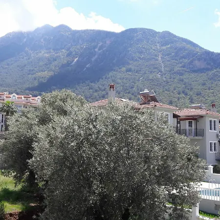 Tjs Fethiye 3* Ολουντενίζ